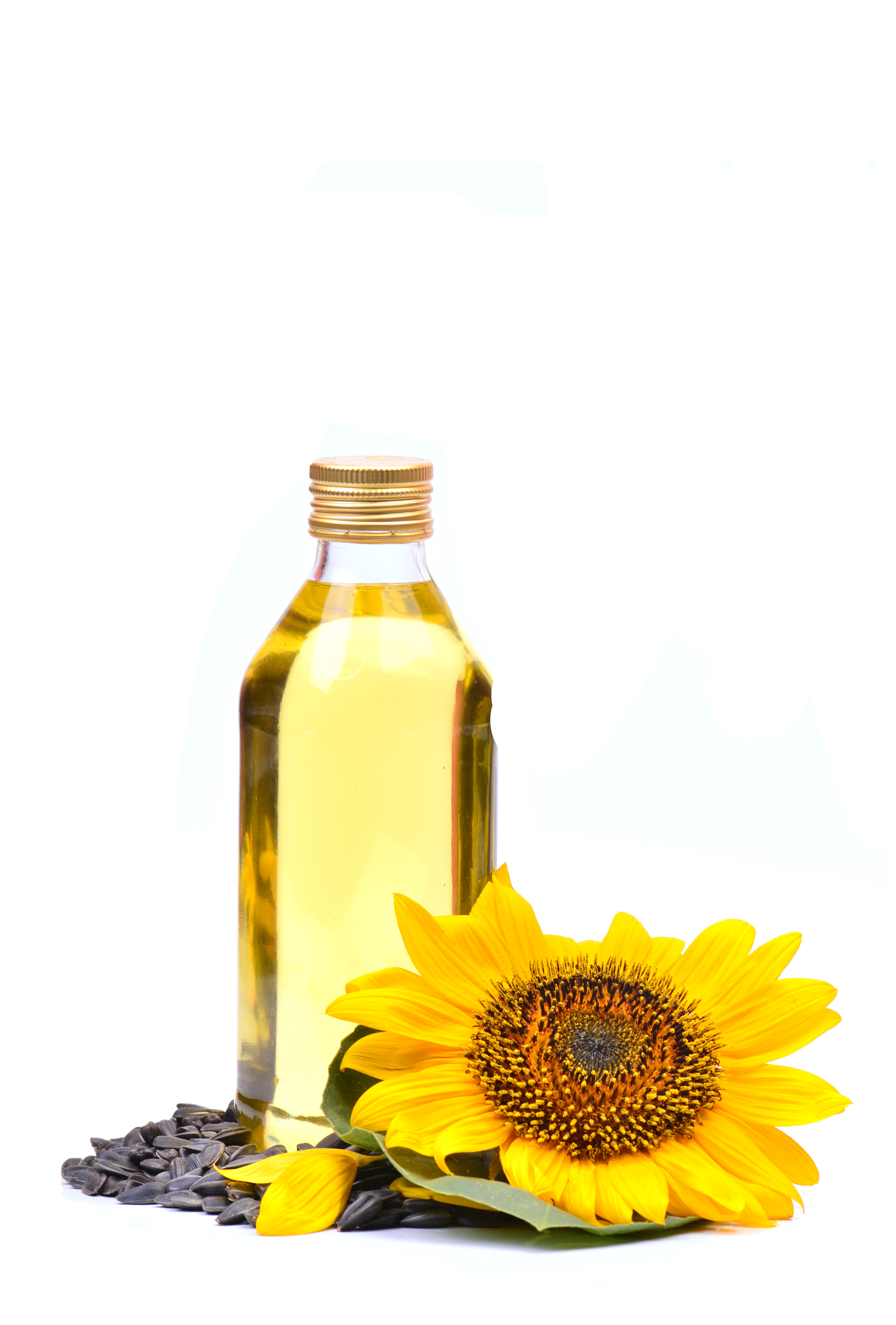 Flavour Food Trading LLC